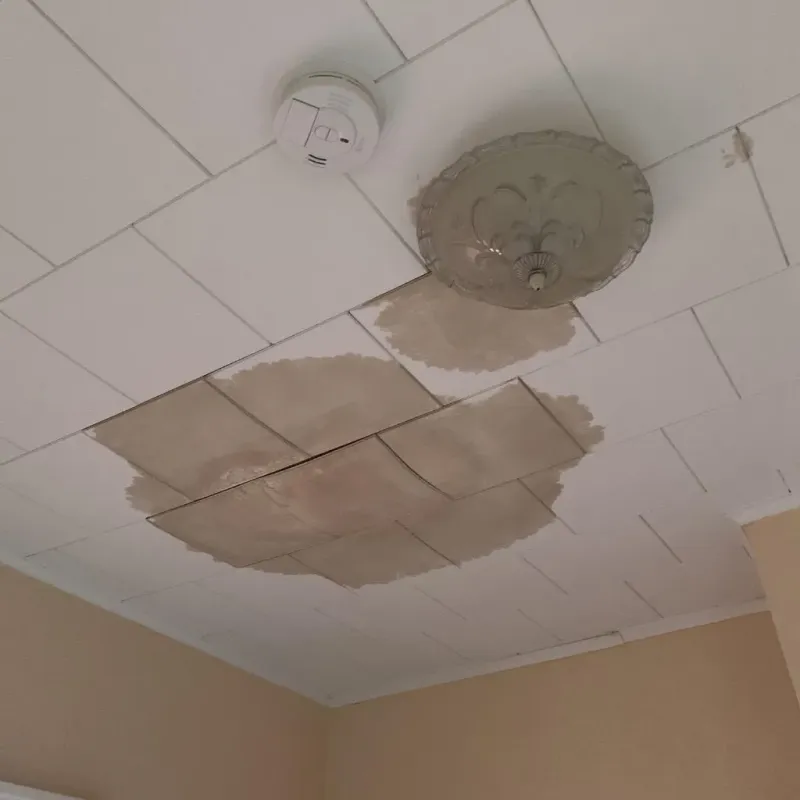 Ceiling Water Damage Repair in Amsterdam, NY