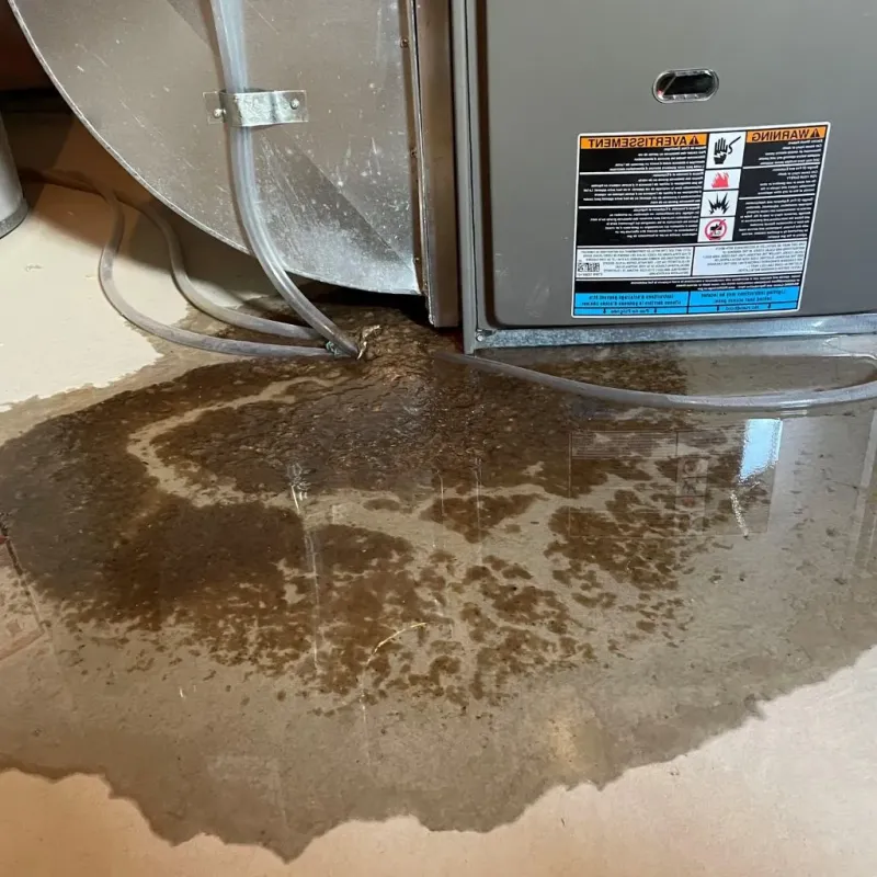 Pipe Burst and Leak Restoration in Amsterdam, NY